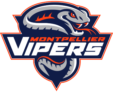 logo vipers équipe hockey sur glace montpellier