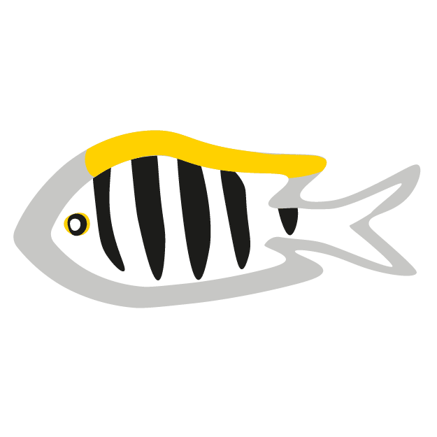 fishs-illu_Plan de travail 1 copie 5