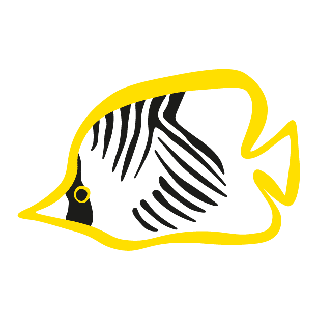 fishs-illu_Plan de travail 1 copie
