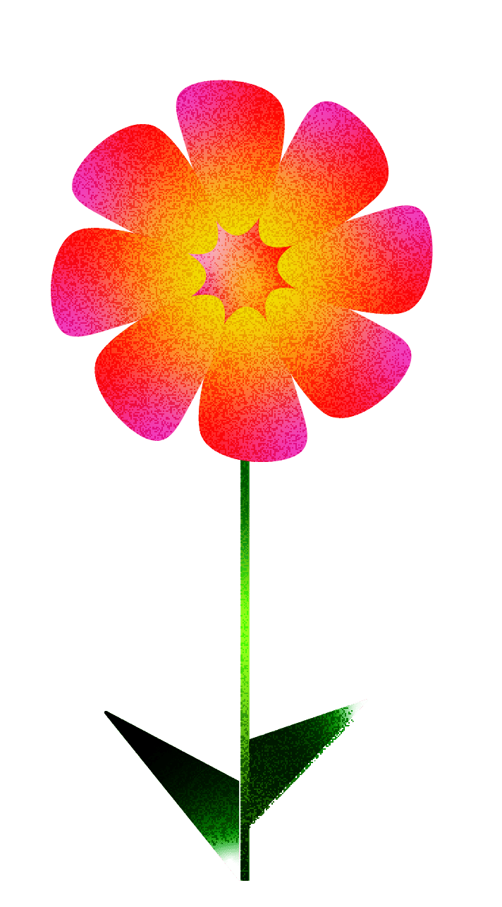 fleurs-illu-09
