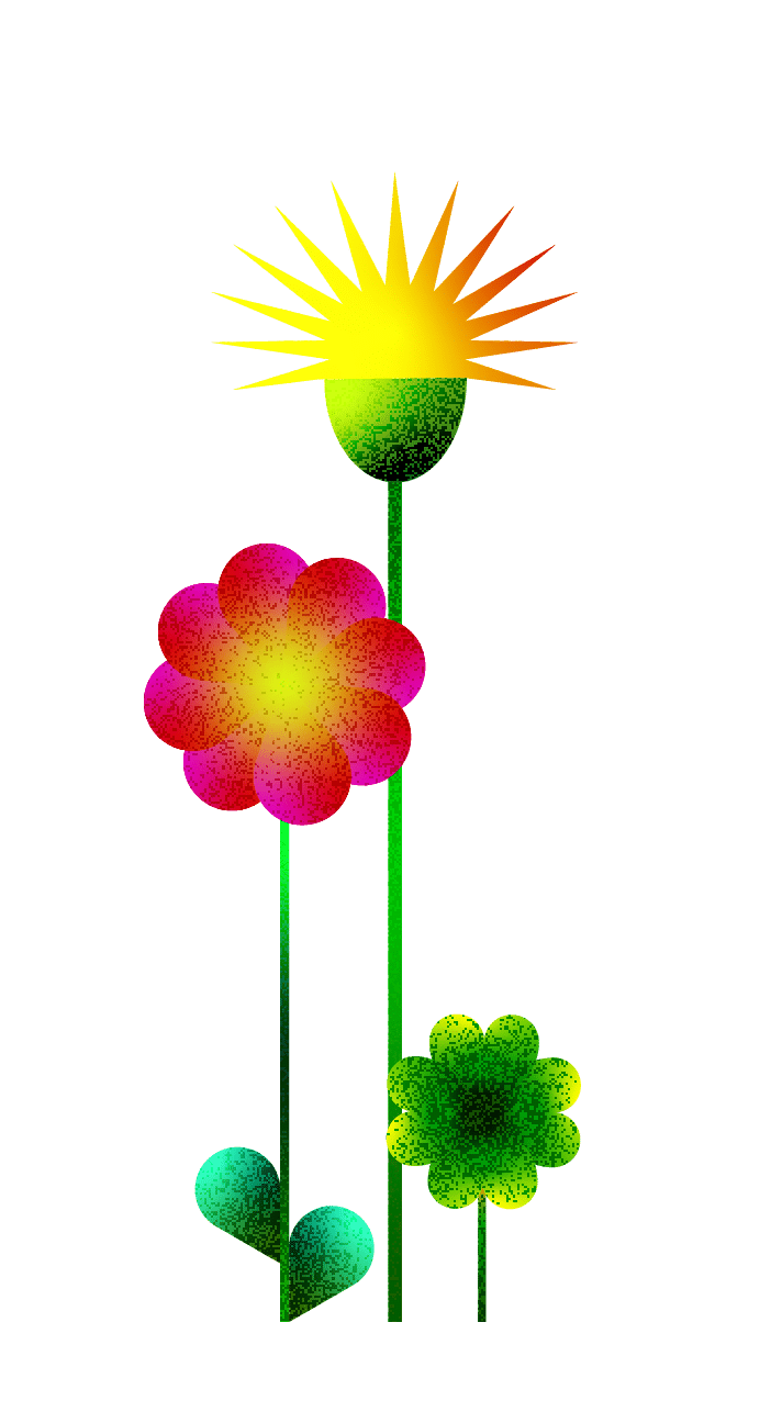 fleurs-illu-13