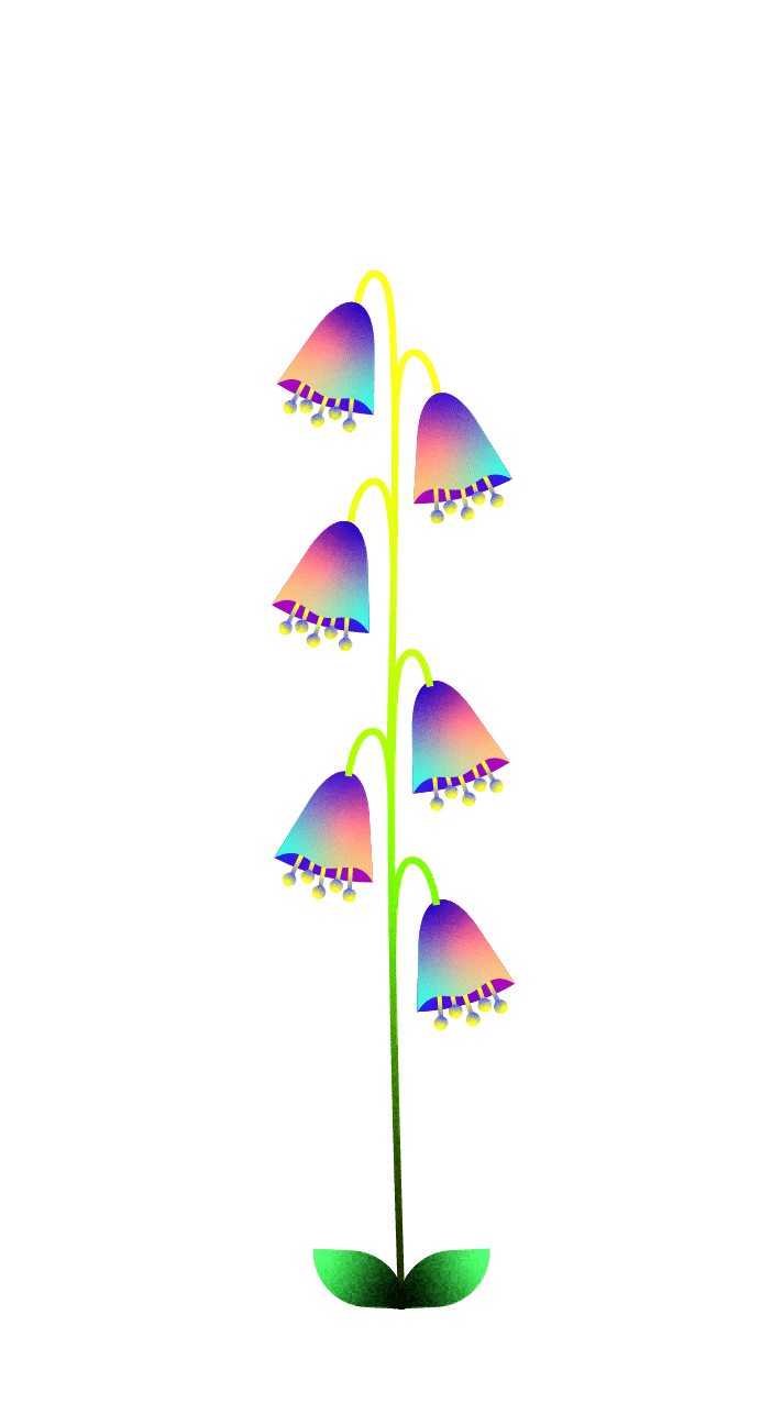 fleurs-illu-14